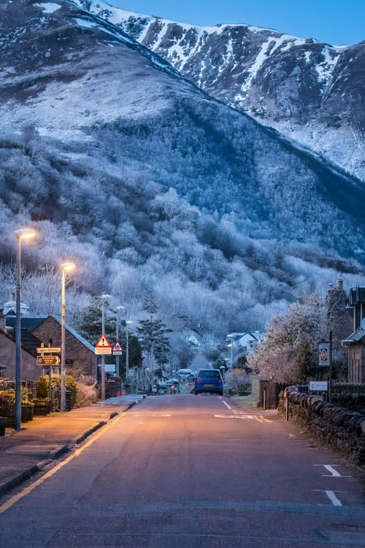 freddie barss tweet media