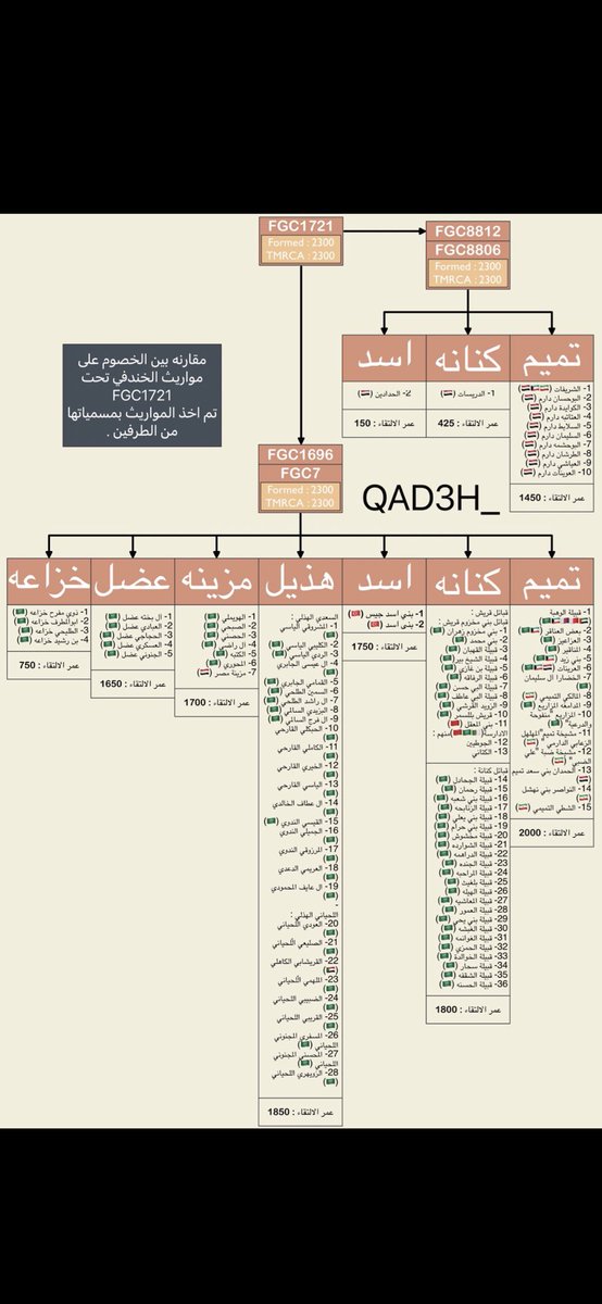 شجرة ليست بها عينات مرقمه مثل شجرتي مجرد ادعائات وعينات فردية وتزوير واذا اردت ان ادمرها ادمرها واقلك. اذا اردت ان تضع قبائل fgc7 ضع هاؤلاء ايضا هههههههههههههههههههههههههههههههههههههههه