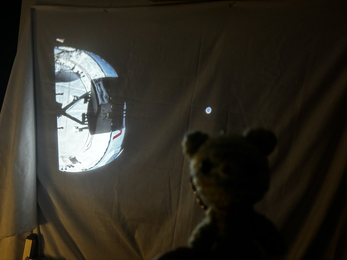 蓮音まゆ tweet media