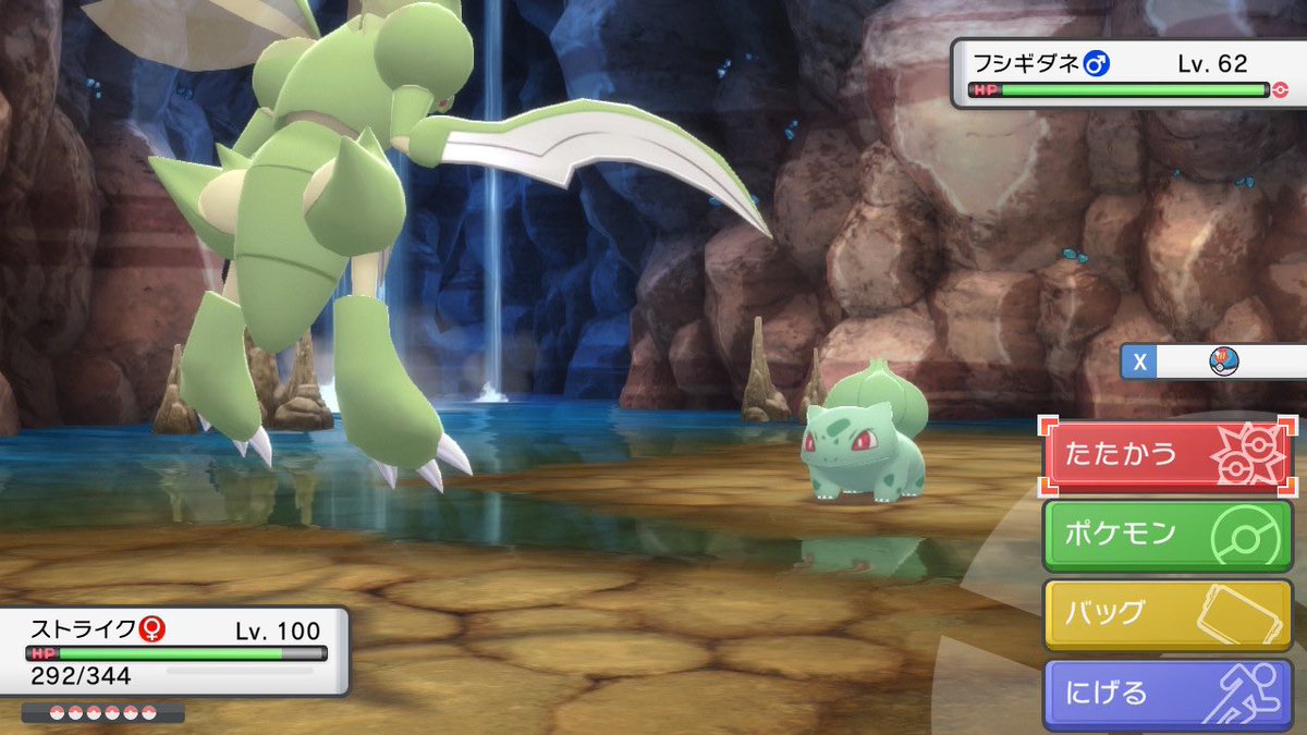 ぱんだ🐼🐾 tweet media