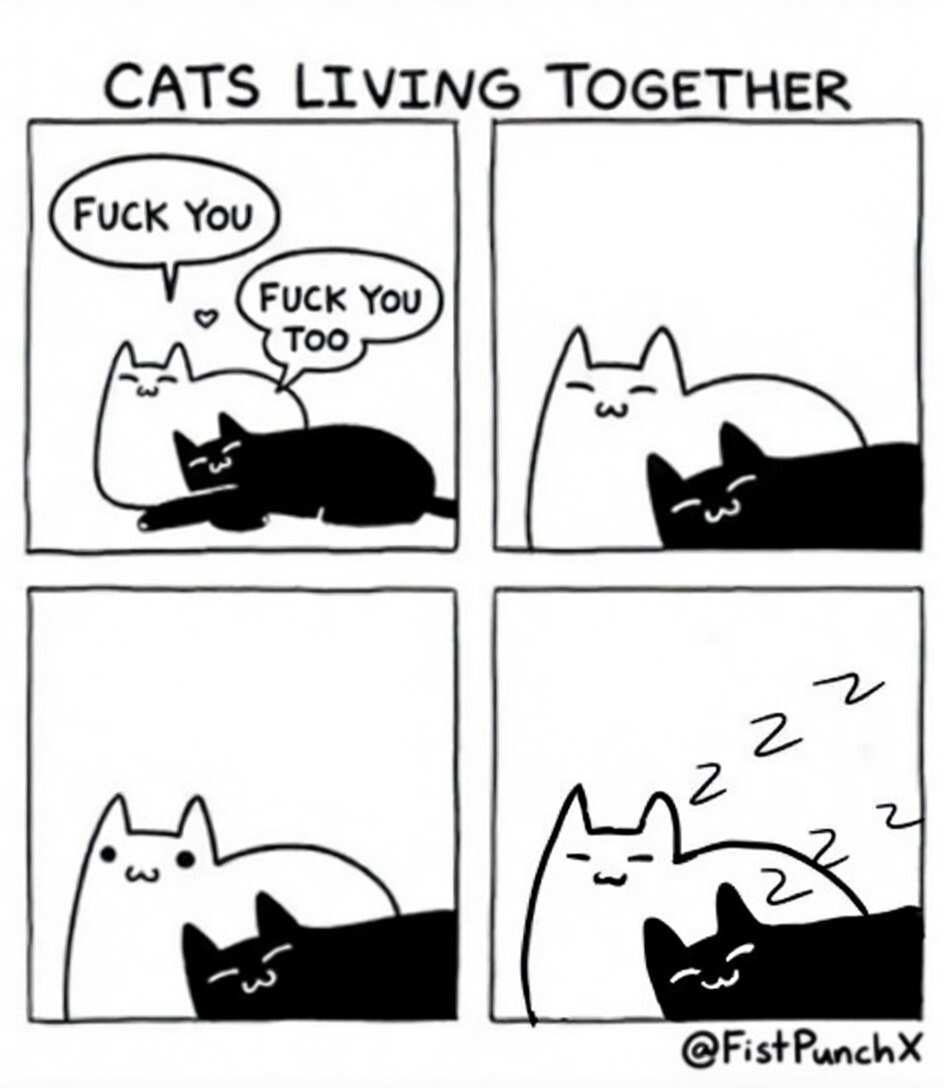 Fist Punch X tweet media