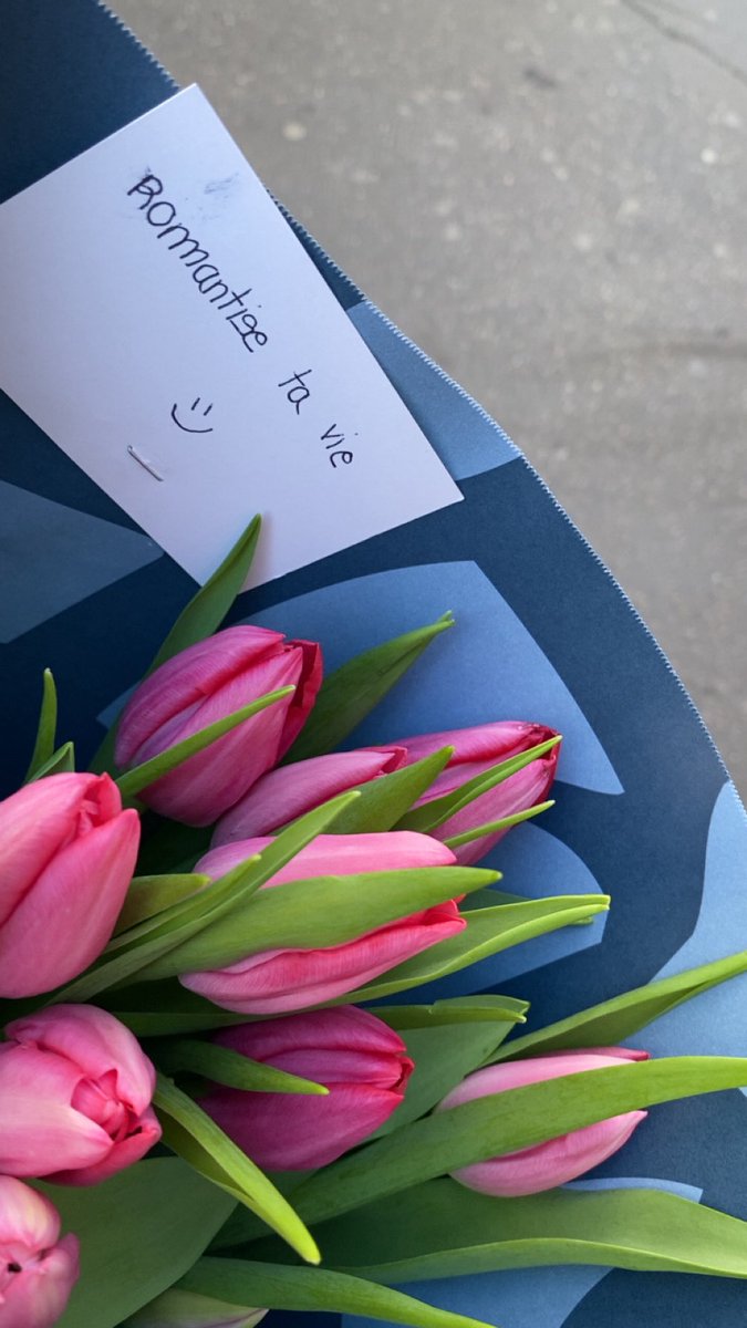 ‎المرجان tweet media