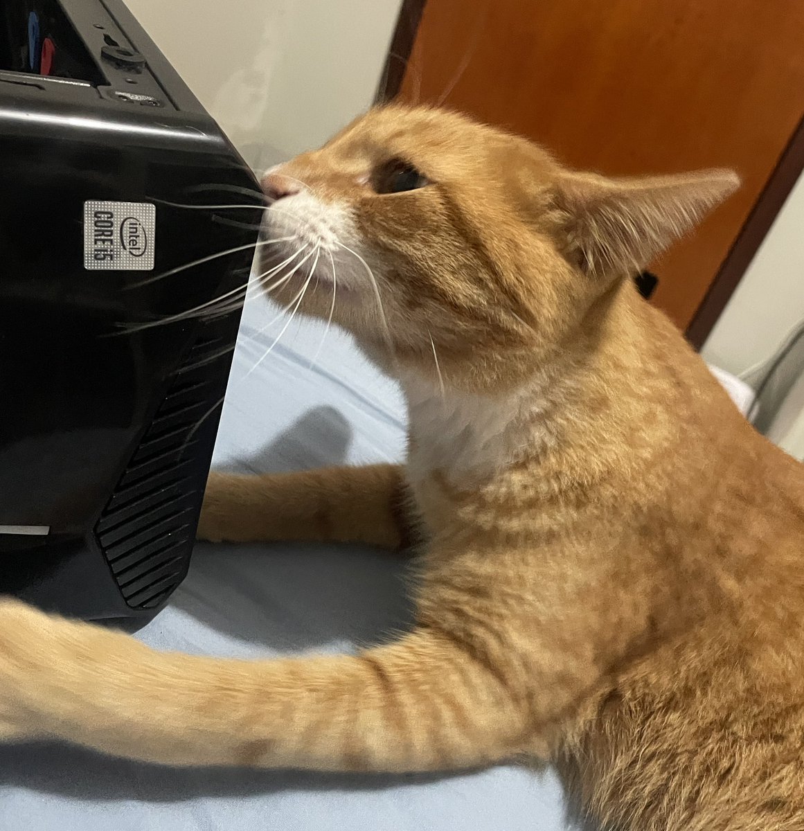 Já? mily tweet media