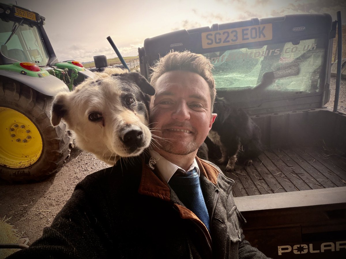 Tony McGuire tweet media