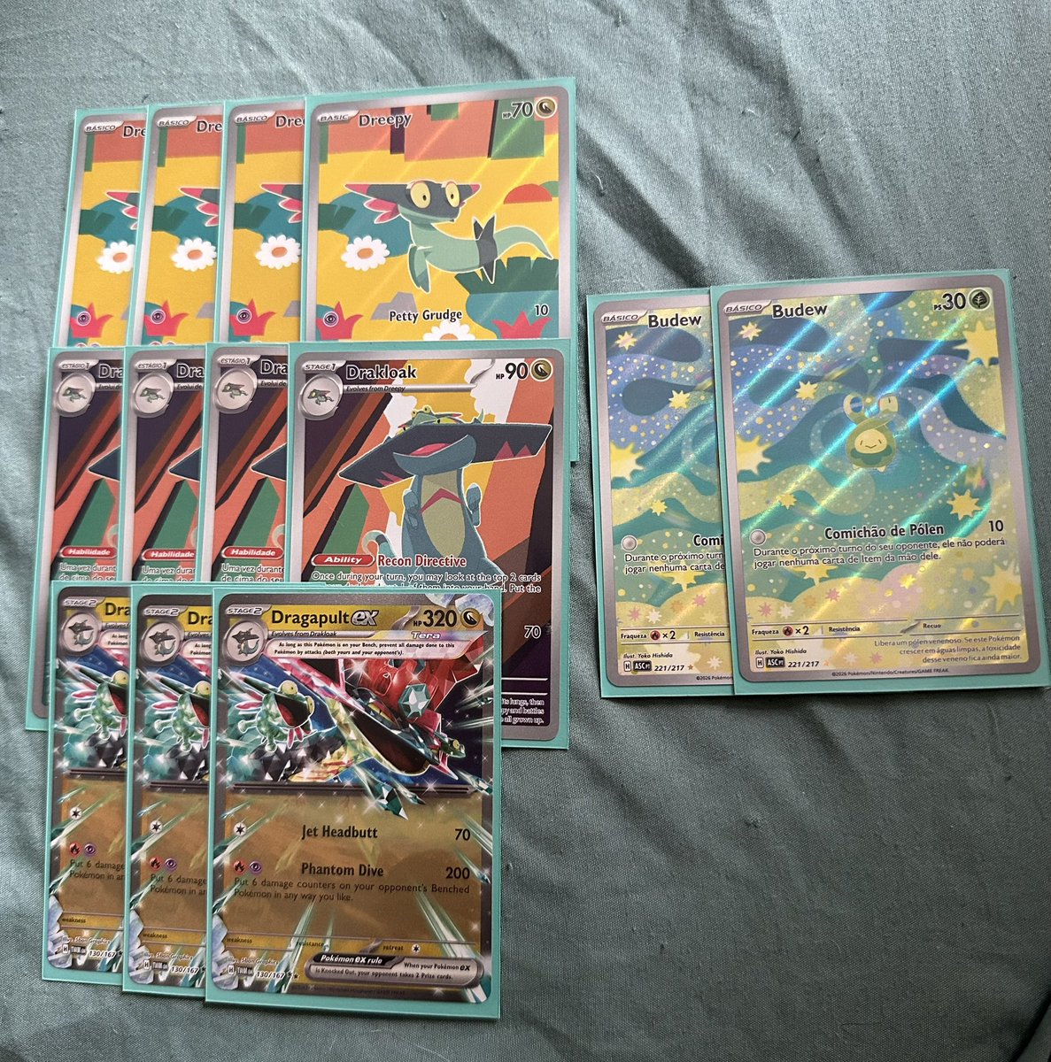 pedro hage 🐾 tweet media