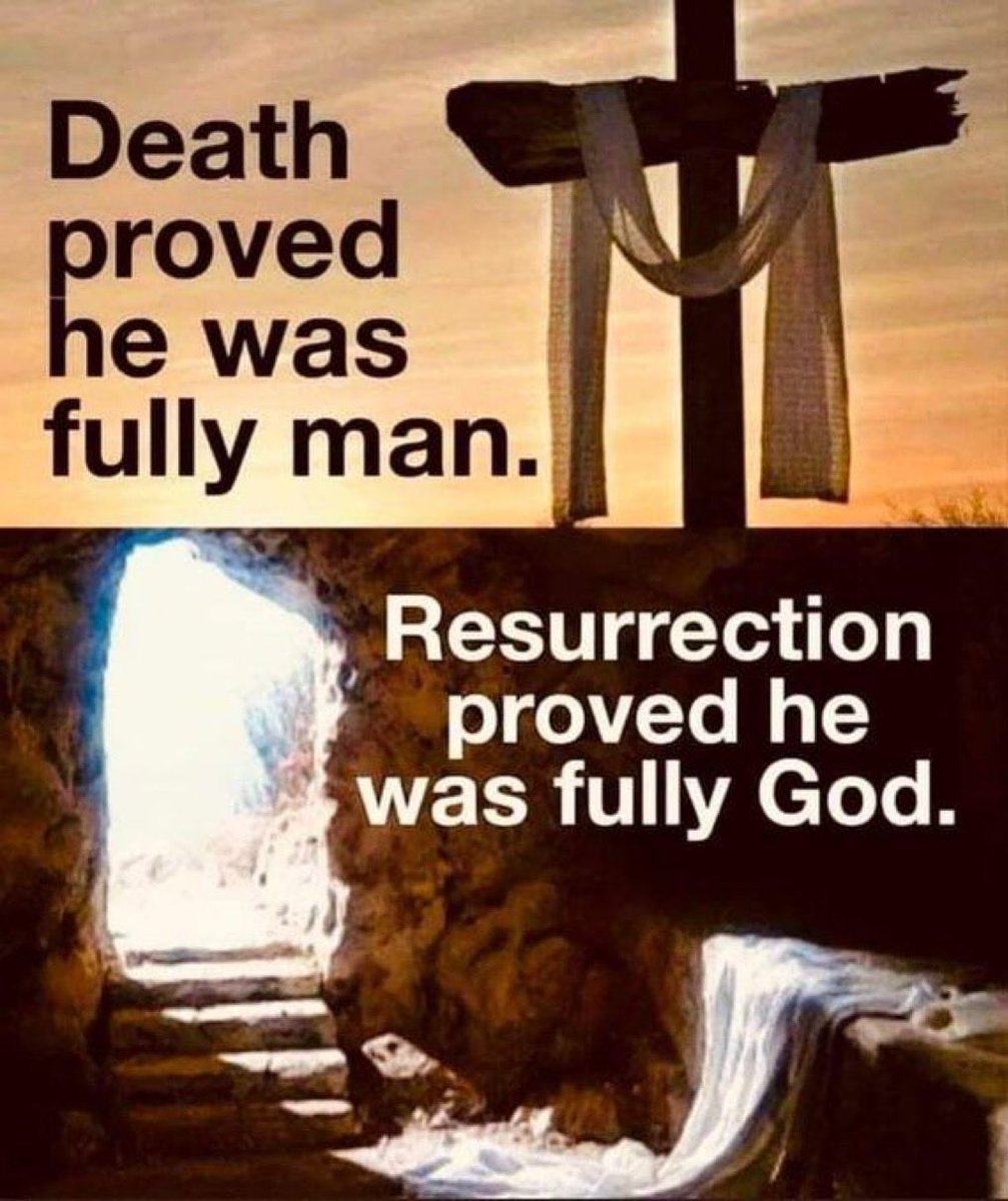 Dr. Jacques Daoud tweet media