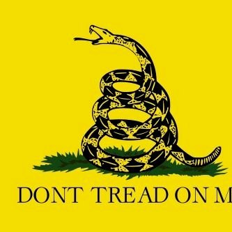 Suzanne HardyPerez tweet media