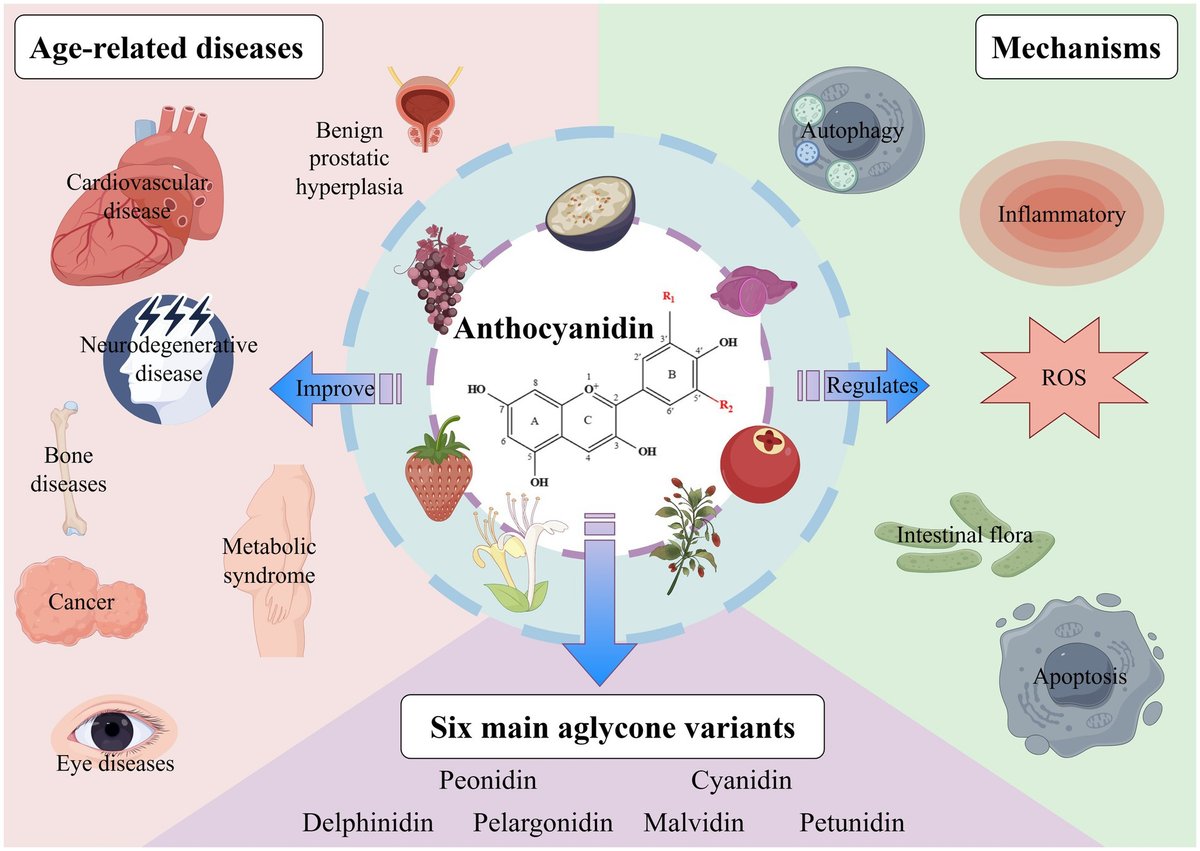 Siim Land tweet media