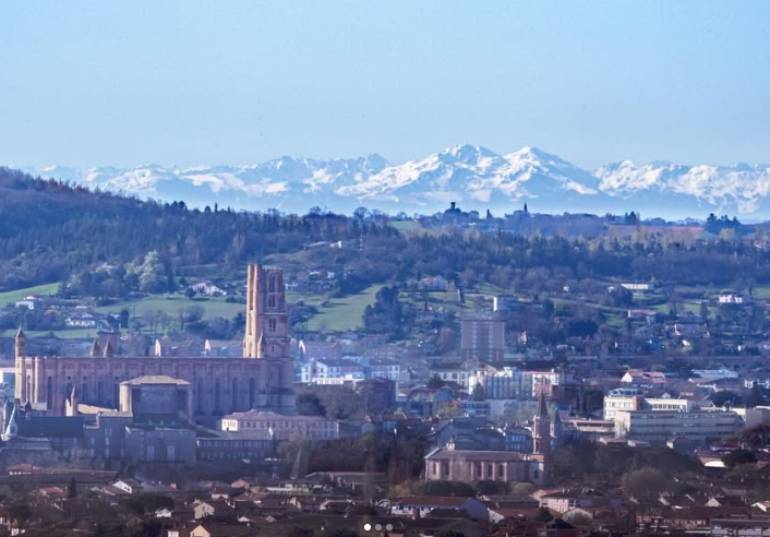 Ju Lia 🌻 tweet media