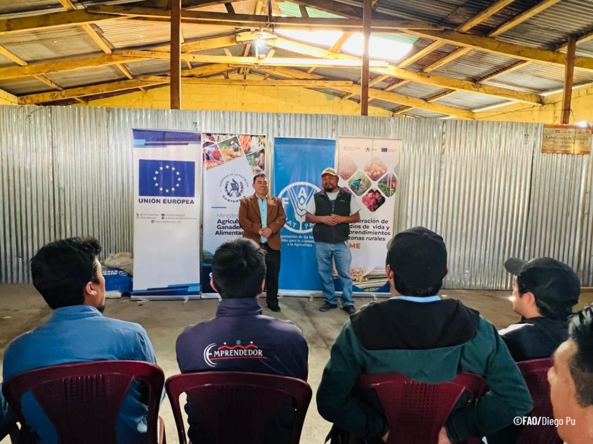 FAOGuatemala's tweet photo. 🍯 En el marco del proyecto #REME, financiado por @UEGuatemala , @MagaGuatemala junto a @FAO acompañan a jóvenes apicultores con insumos estratégicos para fortalecer sus emprendimientos en la cadena de valor de la miel.

Mira la nota publicada en Canal 4⃣ 
https://t.co/eJlE0WVrcm https://t.co/y5U9u7ScU5