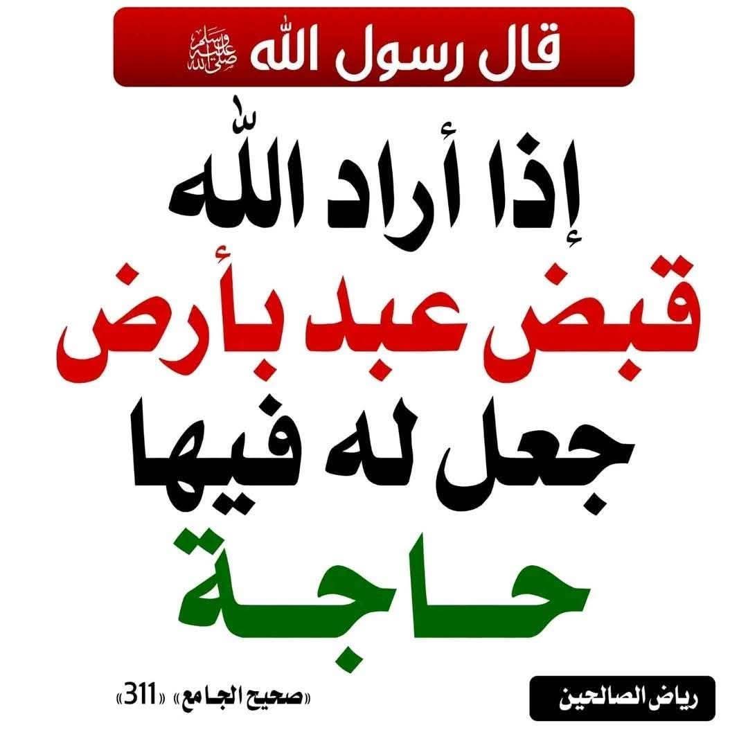 الكتابُ والسُّنة tweet media