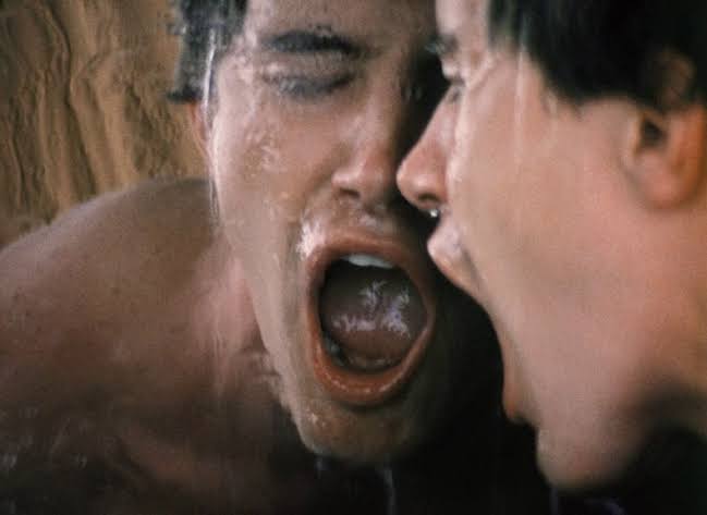 O suvacão do Errol Flynn tweet media