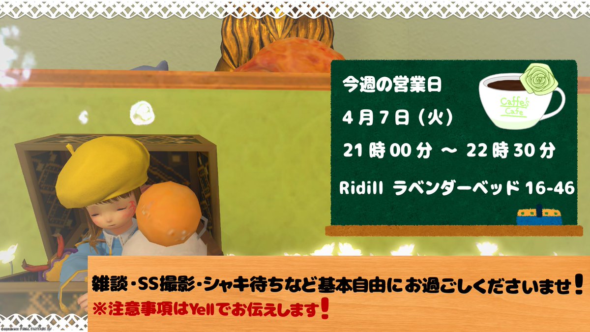 Caffeine🦍 tweet media