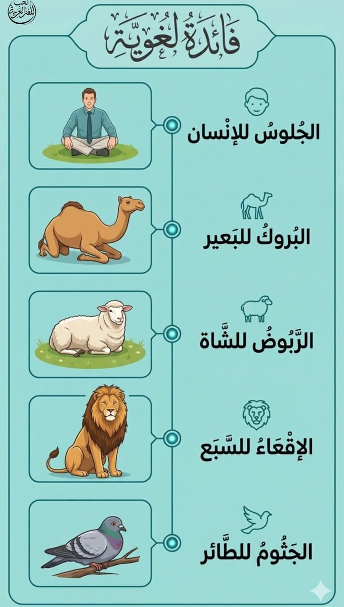 ابو قيس المعمري،، بديل الحساب الاول tweet media