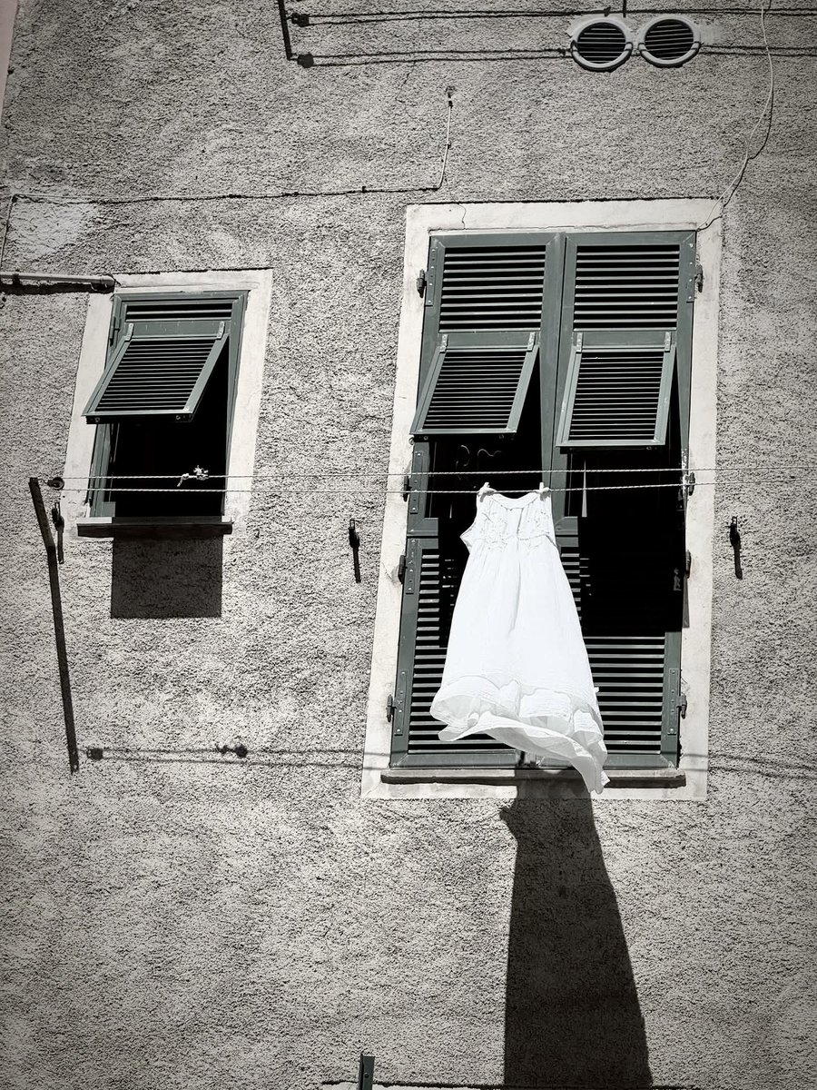 Htownfinfan tweet media