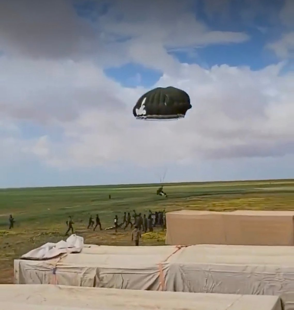 skillANAS tweet media