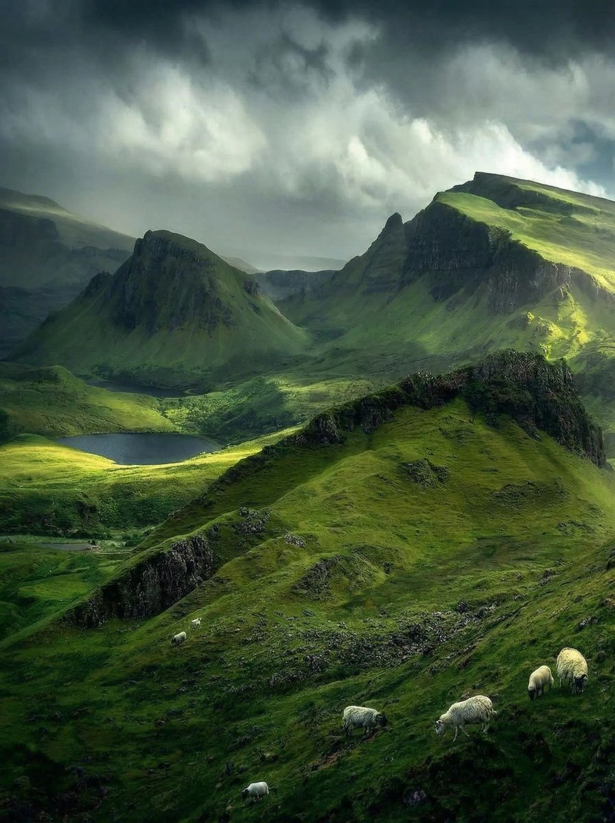 freddie barss tweet media