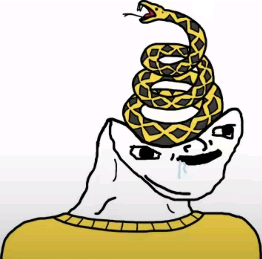 OURS 🇻🇦🇵🇹🇲🇴🇺🇸¹³▐┛ tweet media