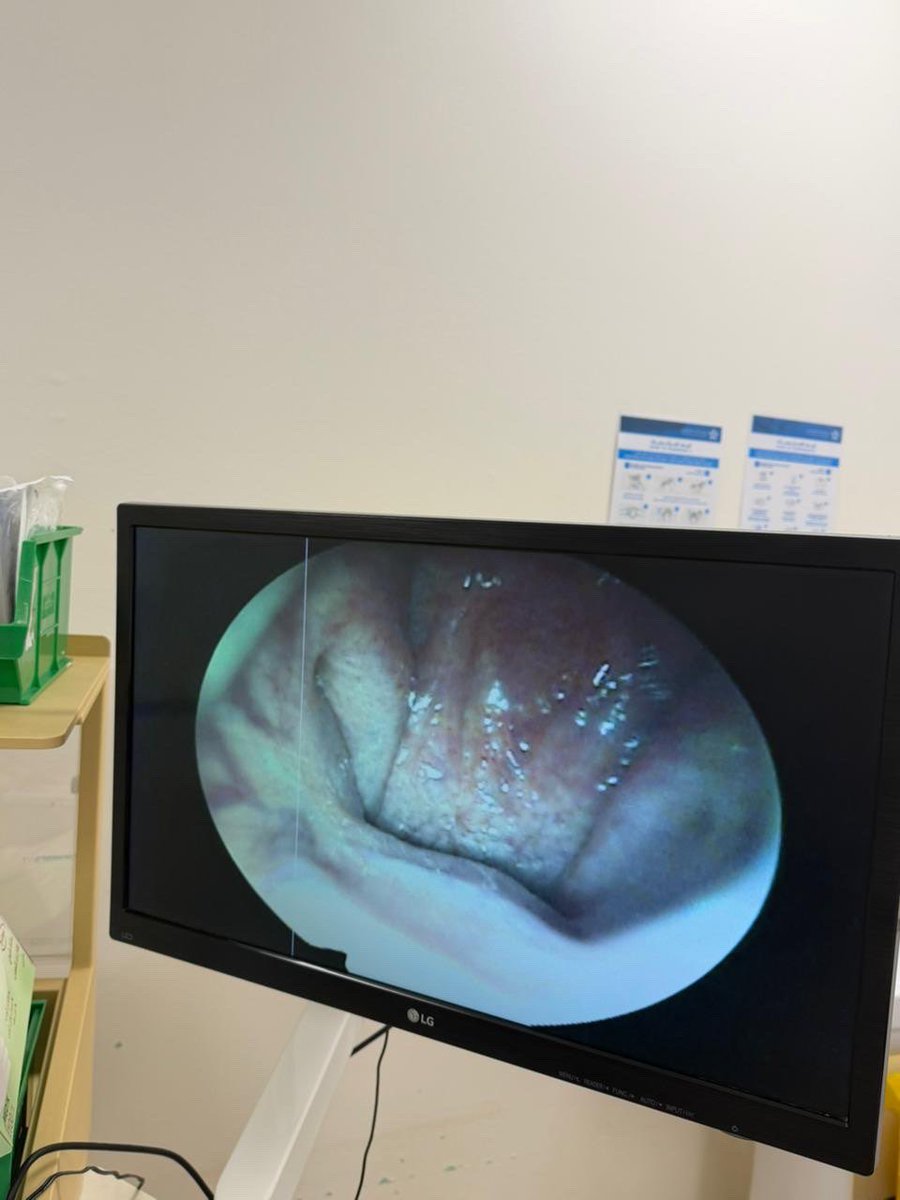 Dana tweet media