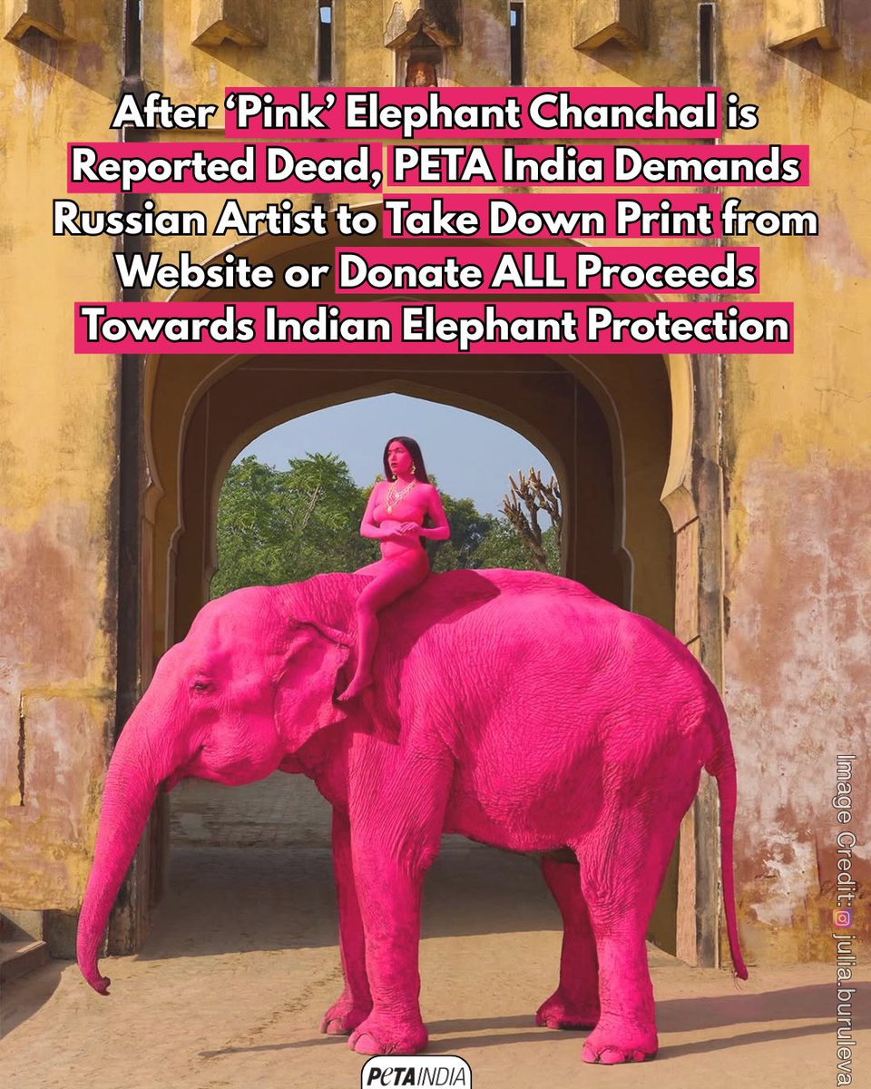 PETA India tweet media