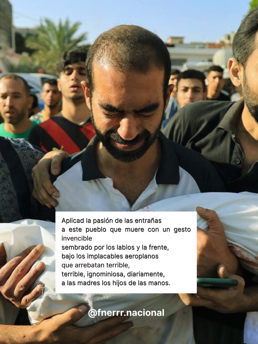 #FelizSabado fenerianxs ☀️

Aplicad la pasión de las entrañas 
a este pueblo que muere con un gesto 
invencible 
sembrado por los labios y la frente,
bajo los implacables aeroplanos
que arrebatan terrible,
terrible, ignominiosa, diariamente, 
a las madres los hijos de las manos.