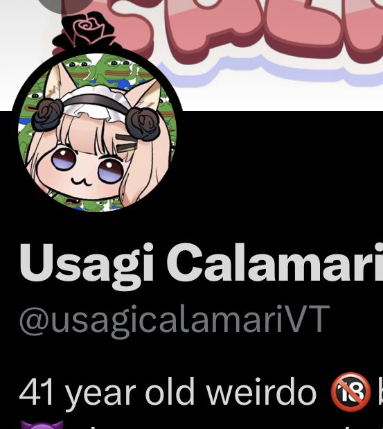 Usagi Calamari 🦊🥞(Vtarded) tweet media