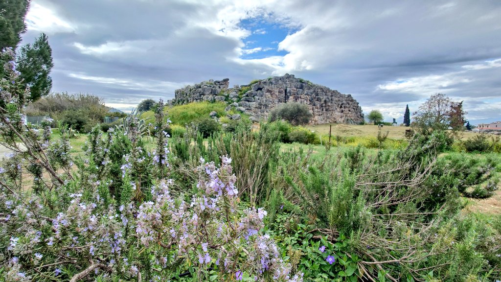 ふたば tweet media