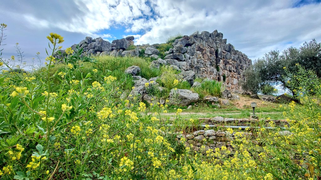 ふたば tweet media