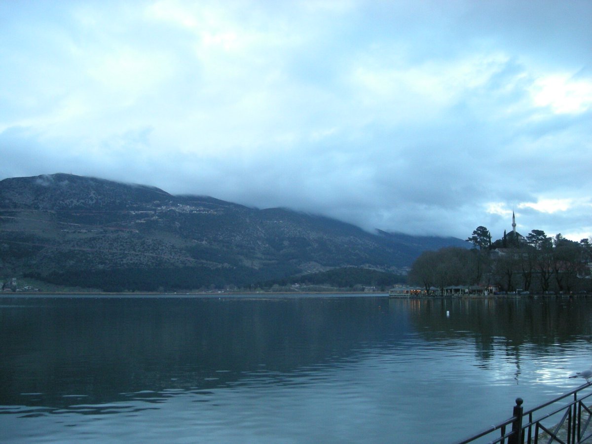 Homer Pavlos tweet media