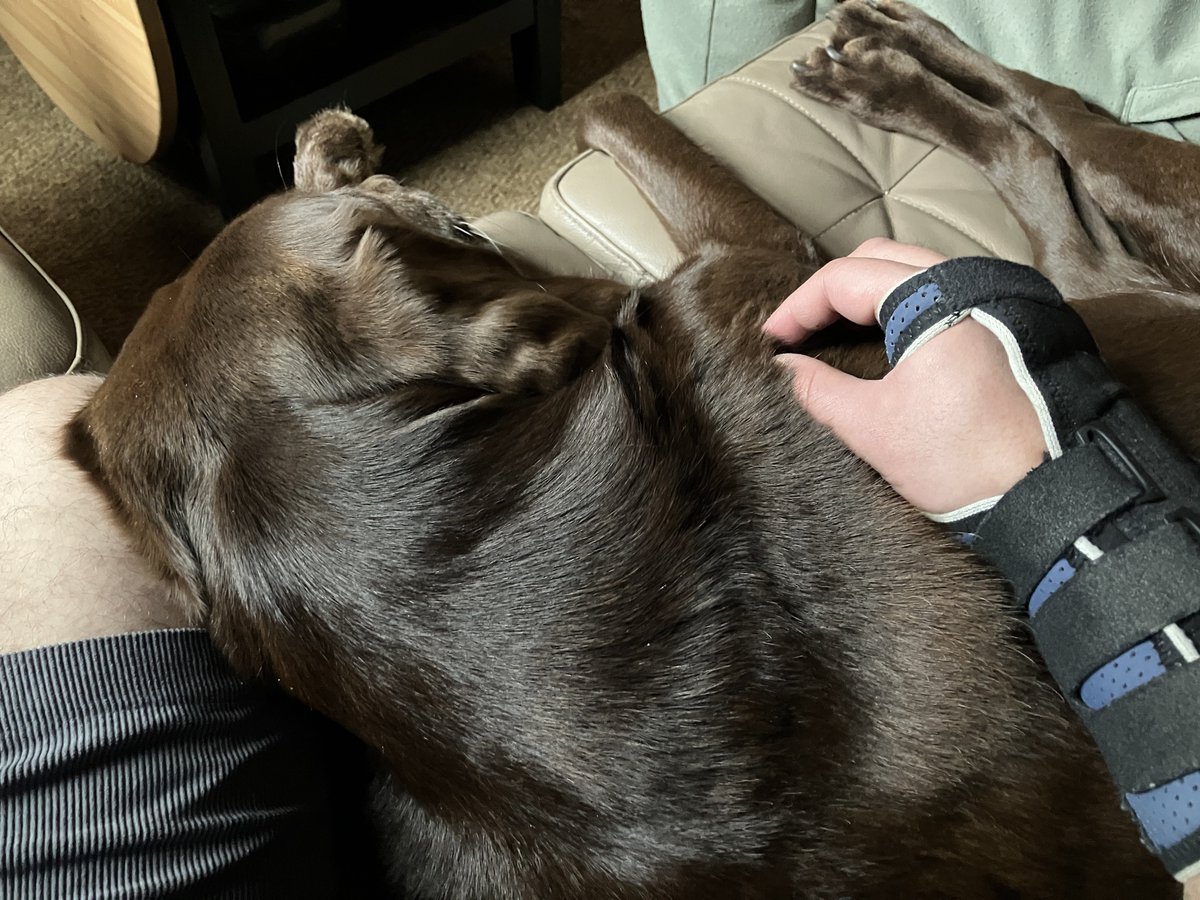 𝗘𝗿𝗲𝘀𝘁𝗿𝗶𝘀 🏳️🌈 tweet media