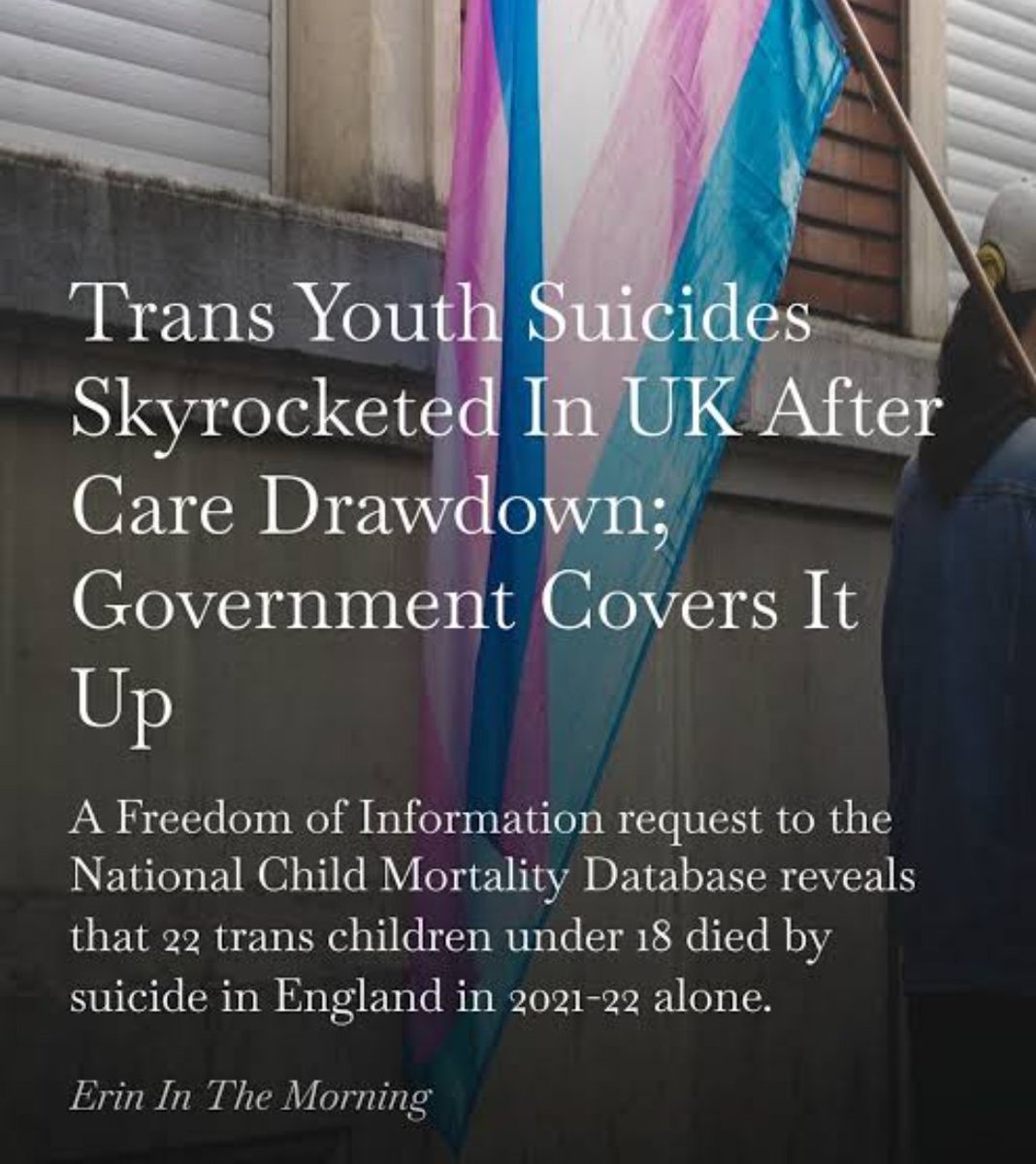 Haala 🚬🐥 tweet media