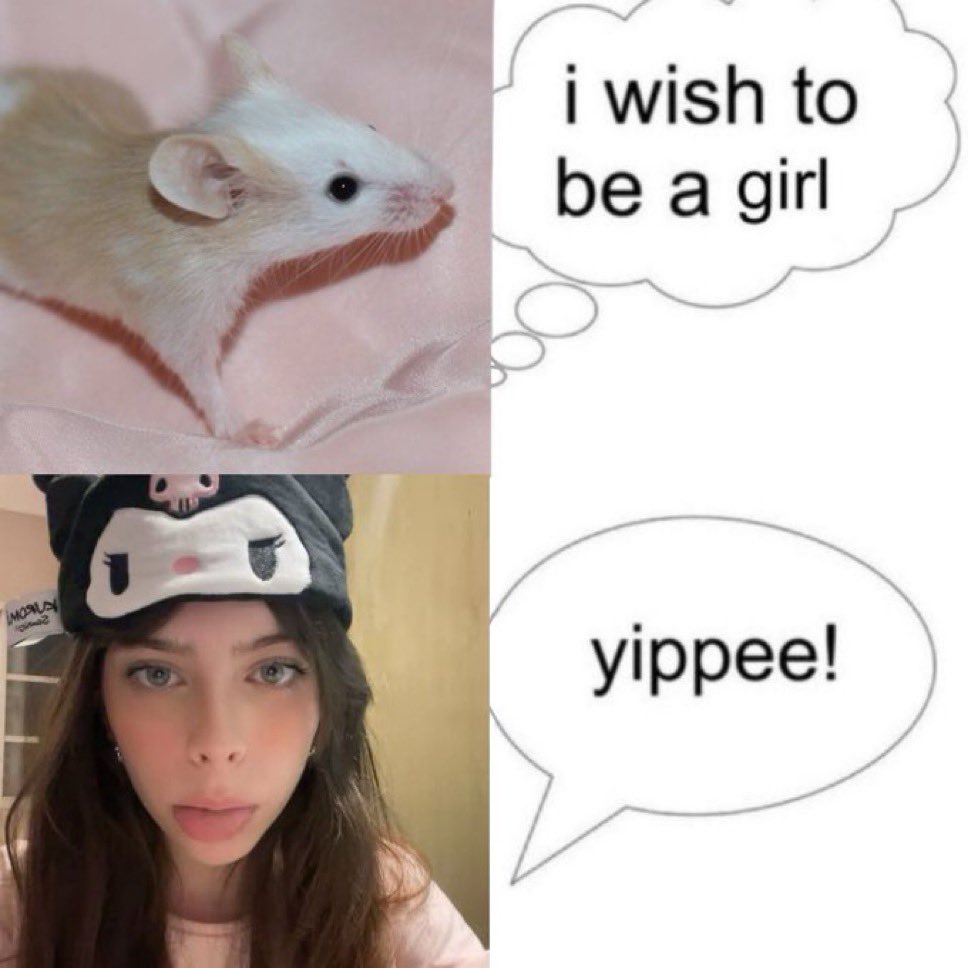 acervo laura kat ★ tweet media