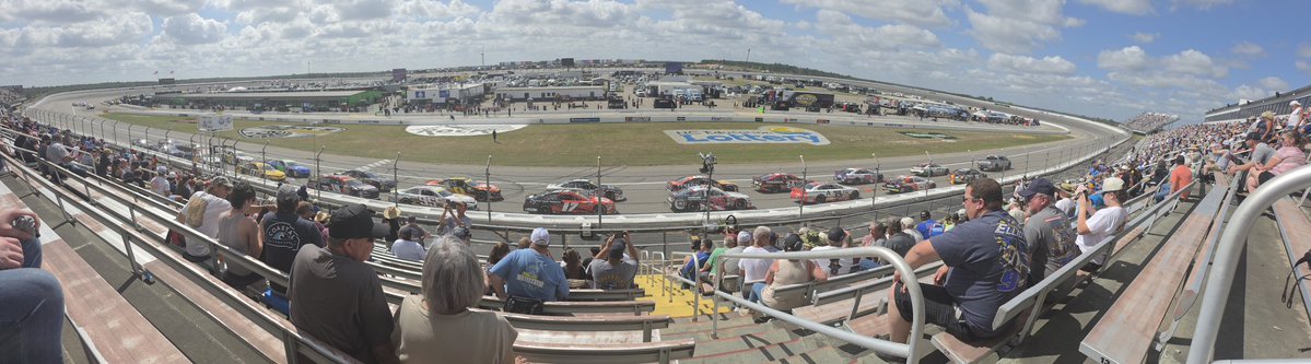 Terra Jones tweet media