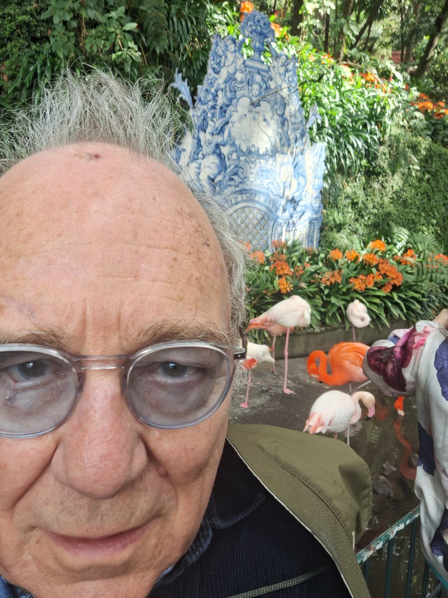 Bruce Findlay /power to the people 🕊✌ tweet media