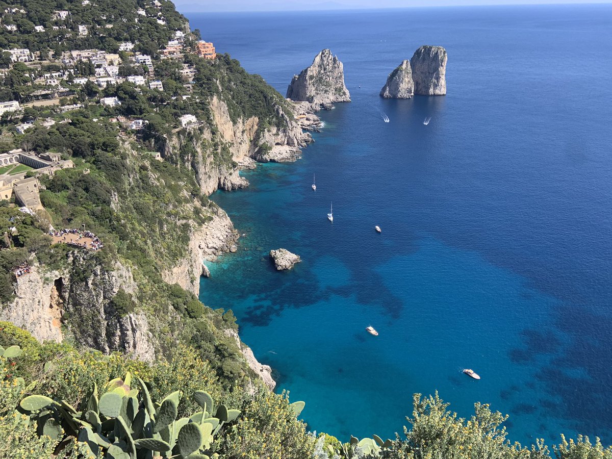 Teresushi tweet media