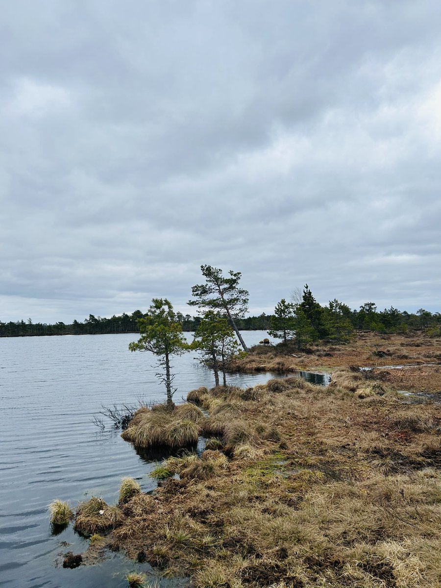 Mari-Liis Sulg tweet media