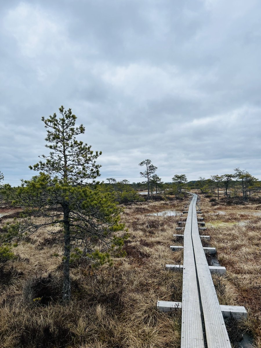 Mari-Liis Sulg tweet media