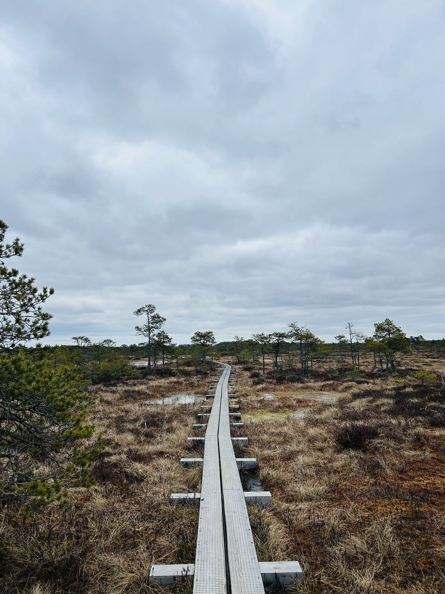 Mari-Liis Sulg tweet media