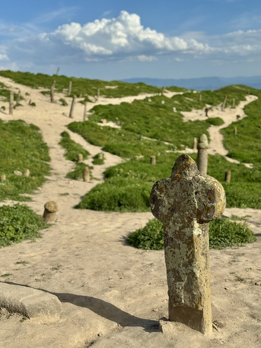 Ali Salehi tweet media