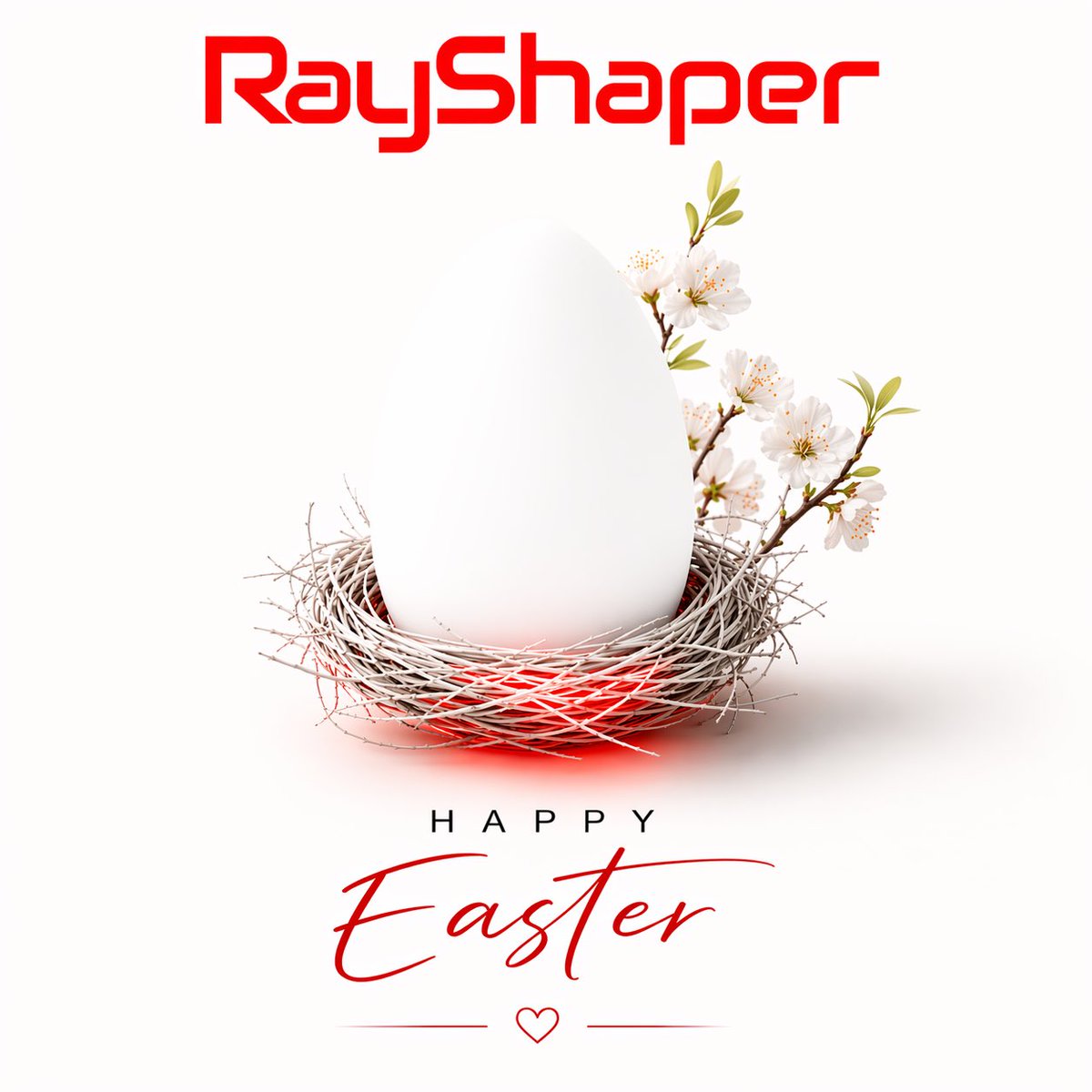 RayShaperSA tweet media