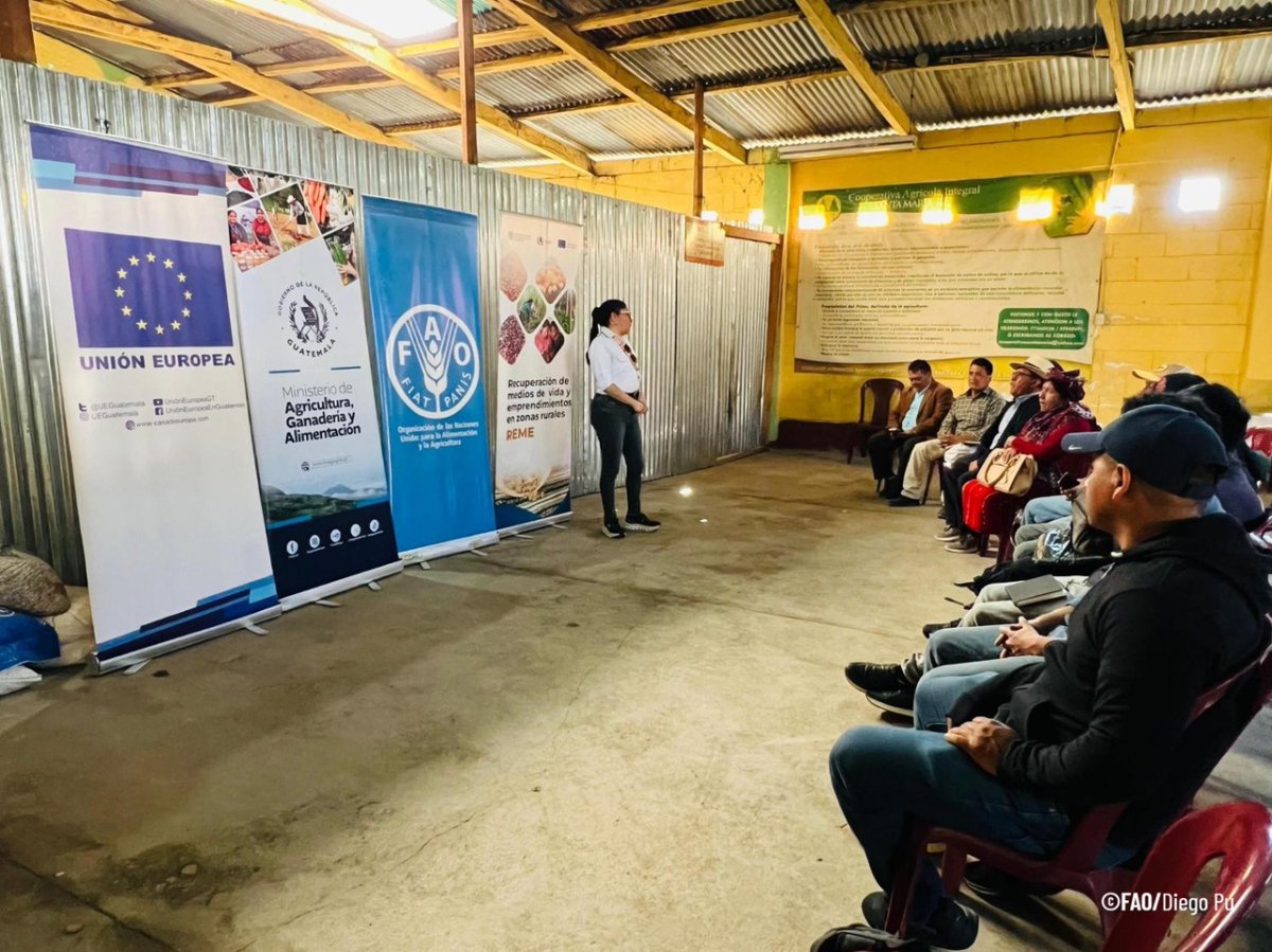 FAOGuatemala's tweet photo. 🍯 En el marco del proyecto #REME, financiado por @UEGuatemala , @MagaGuatemala junto a @FAO acompañan a jóvenes apicultores con insumos estratégicos para fortalecer sus emprendimientos en la cadena de valor de la miel.

Mira la nota publicada en Canal 4⃣ 
https://t.co/eJlE0WVrcm https://t.co/y5U9u7ScU5
