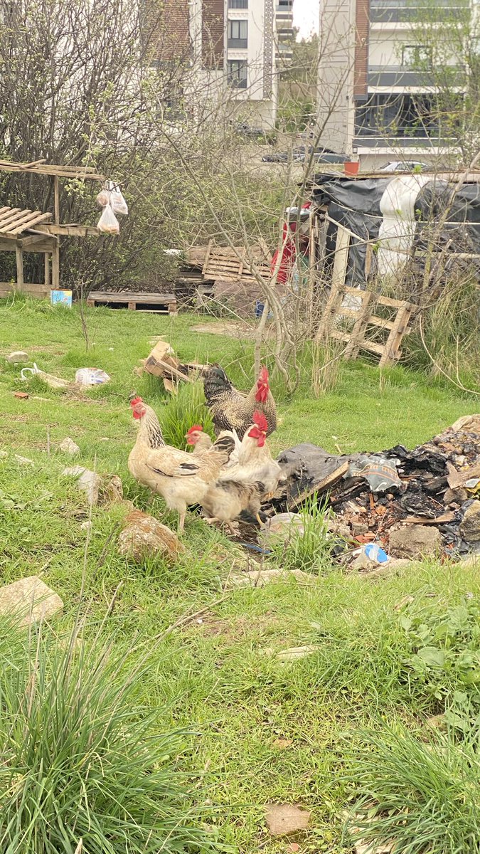 zer☀️ tweet media