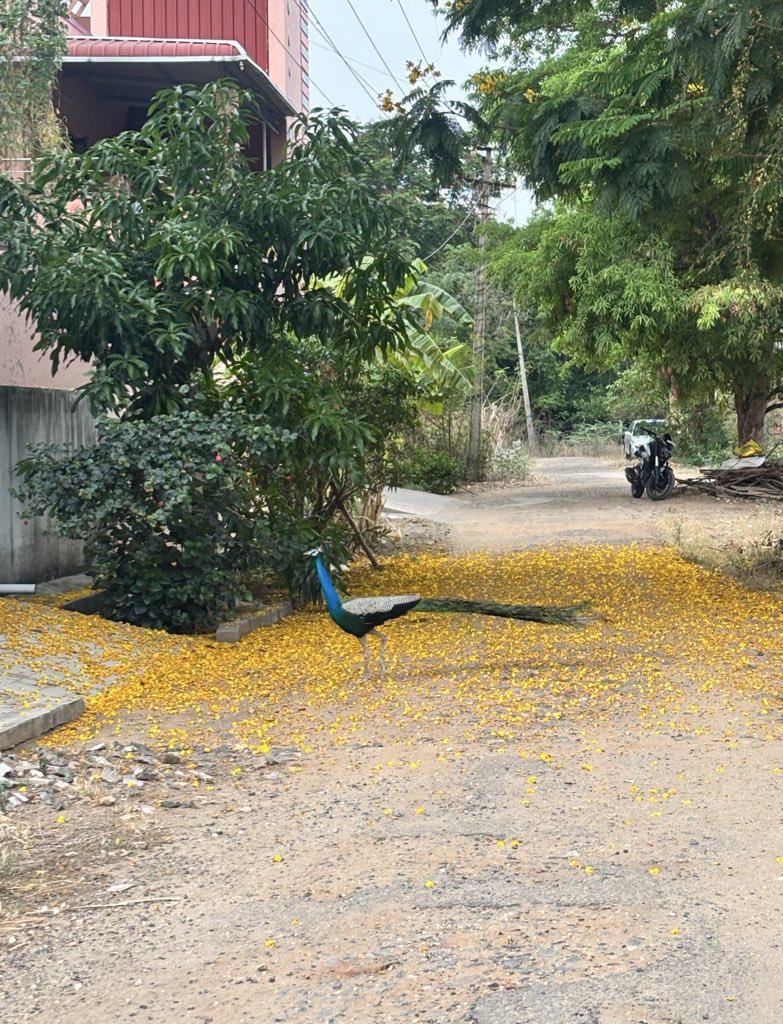 Karthika is vibe coding tweet media