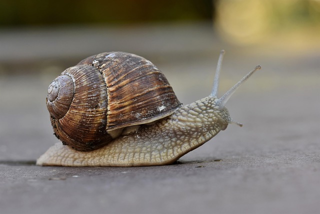 Tim Cibrian tweet media