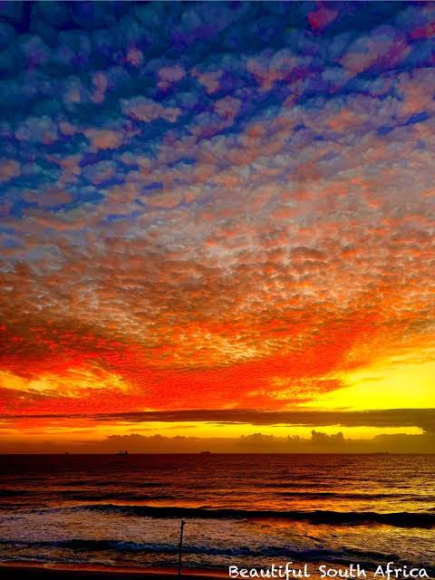 Jangle leg tweet media