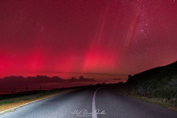 Jangle leg tweet media