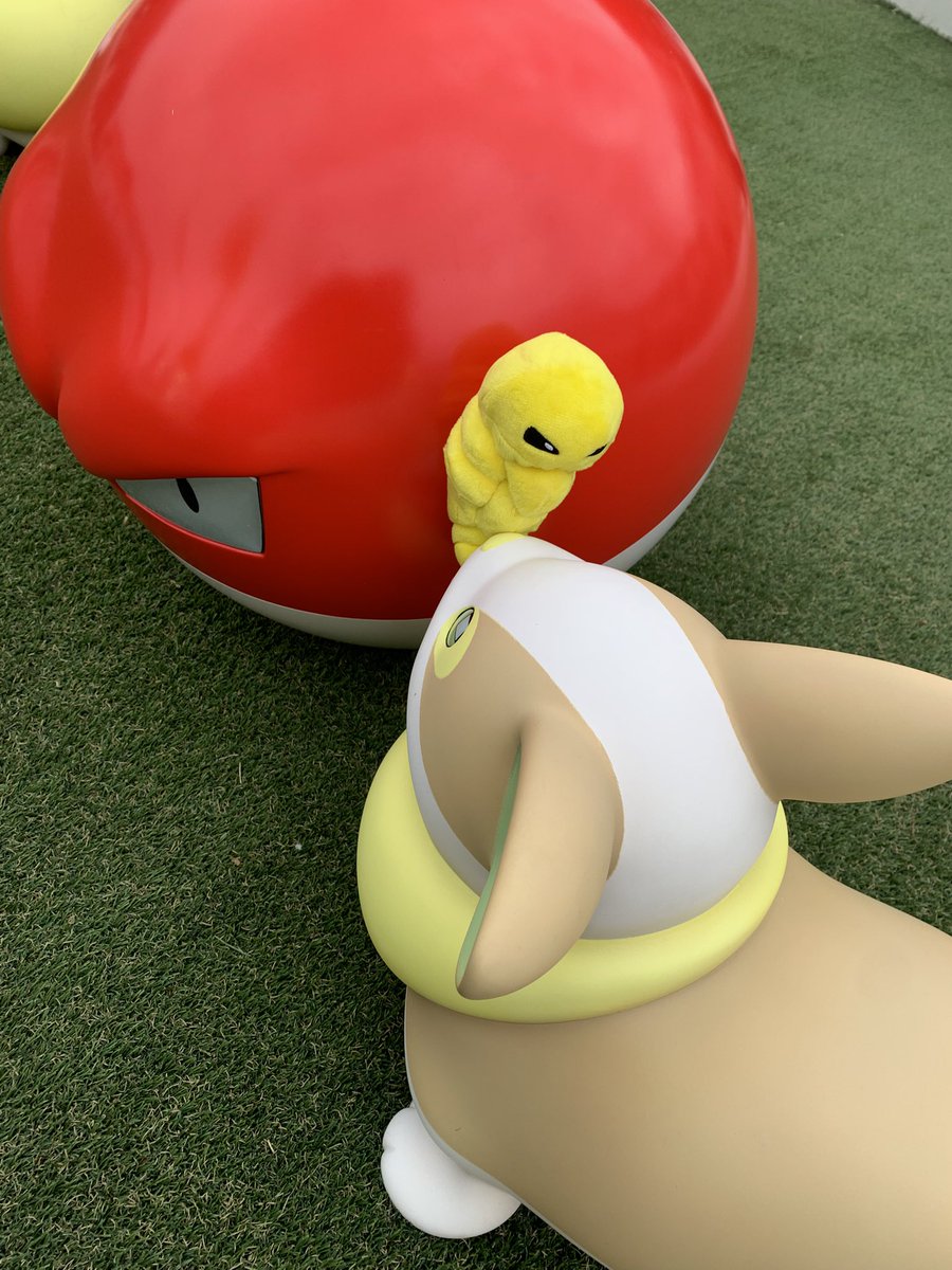 ZeNrA(ぜんら) tweet media