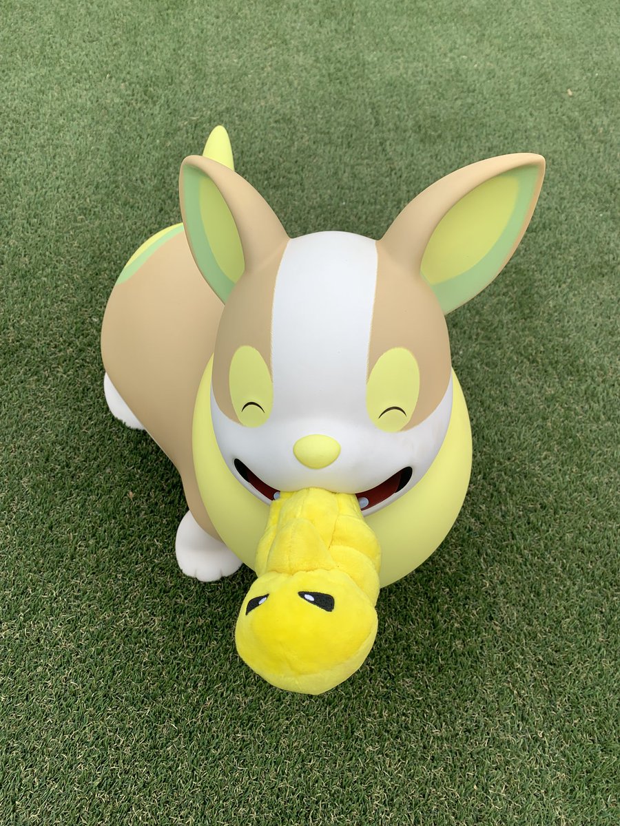 ZeNrA(ぜんら) tweet media