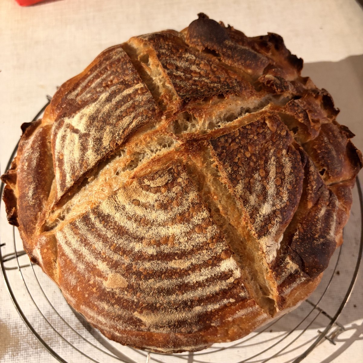 anna 🦥 tweet media