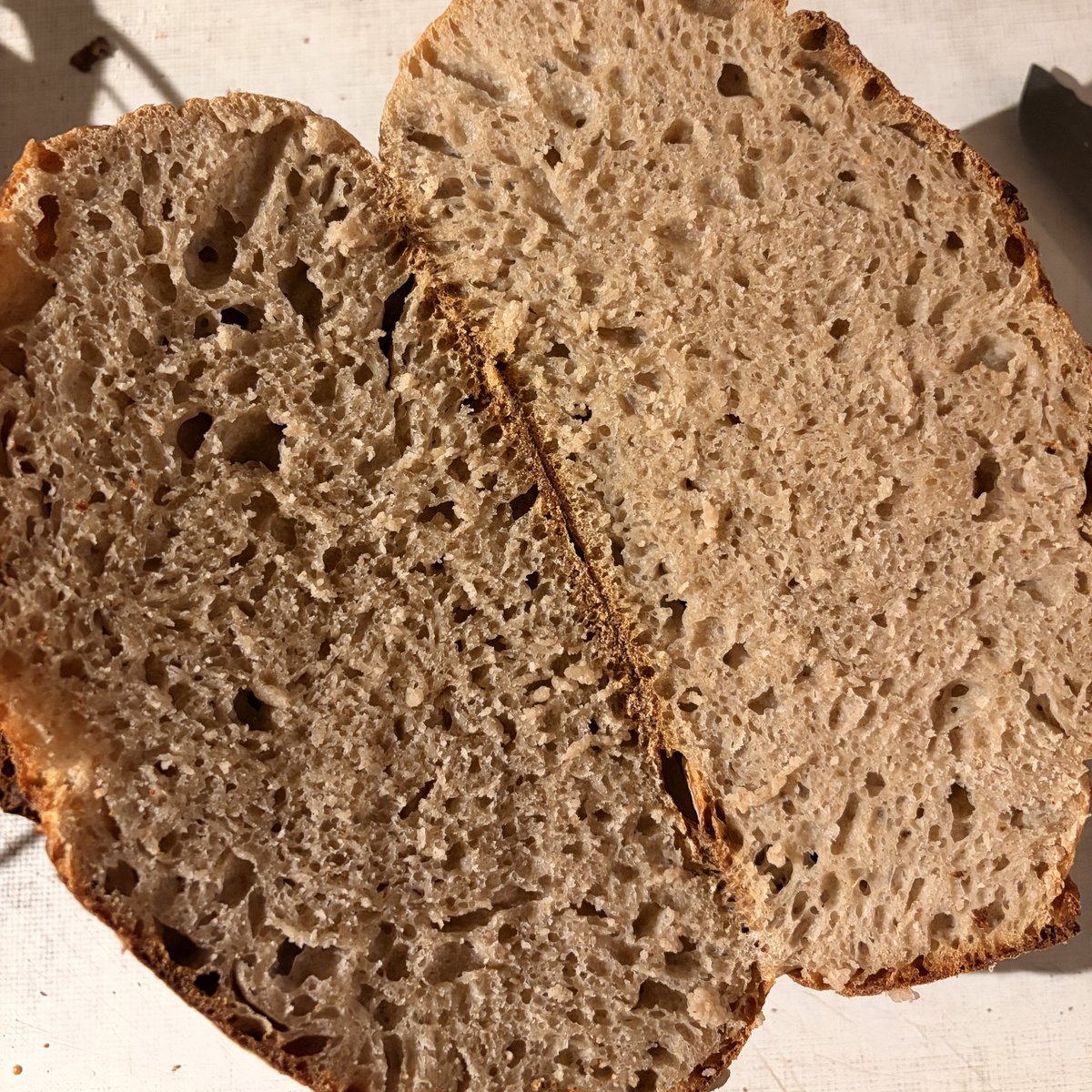 anna 🦥 tweet media